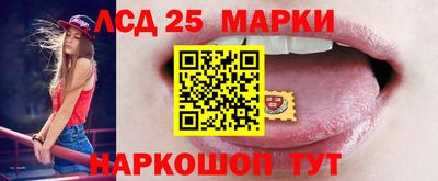 тгк Бийск
