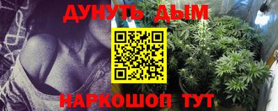 тгк Бийск
