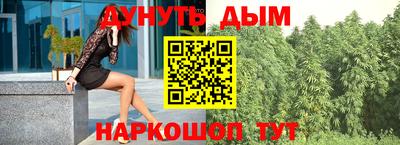 тгк Бийск