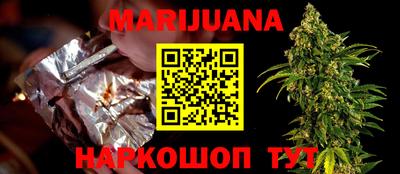 тгк Бийск