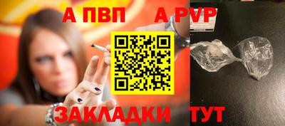 тгк Бийск