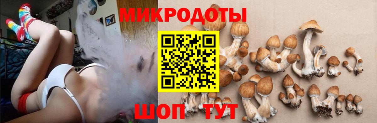 купить  сайты  Вход с VPN  Касимов  Галлюциногенные грибы GOLDEN TEACHER 